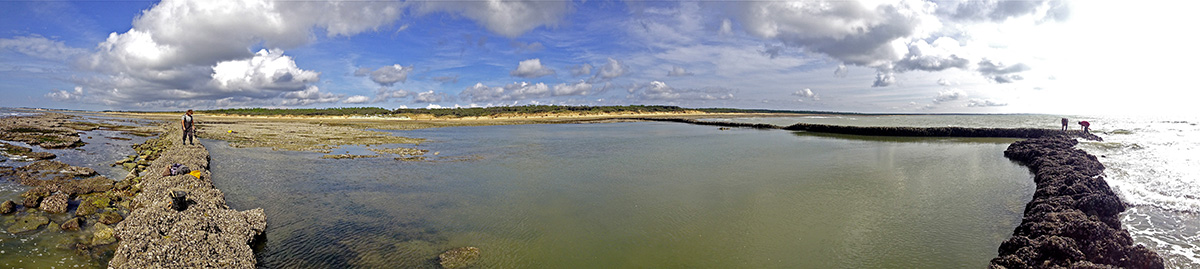 Oléron Photos © philippe fonteneau