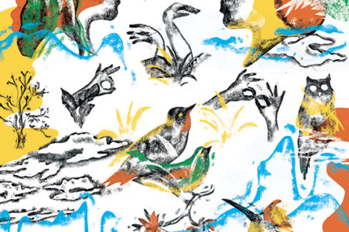 Cause animale ©Maxime Sudol