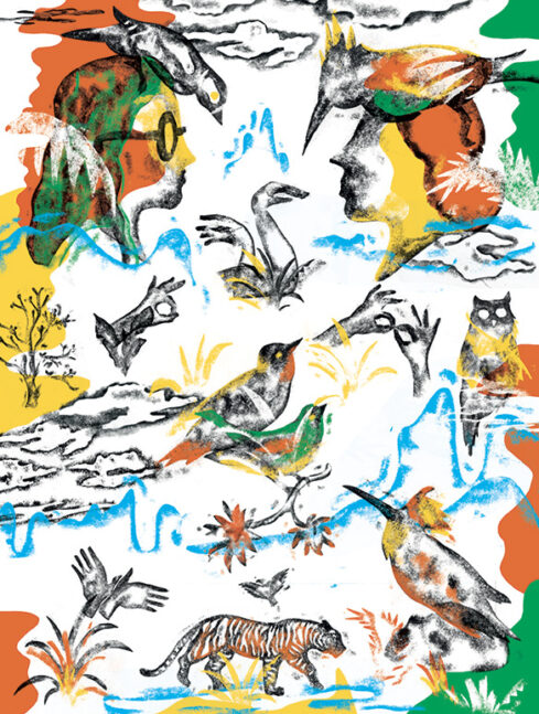 Cause animale ©Maxime Sudol