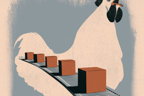 Guerre du Pain © chez gertrud