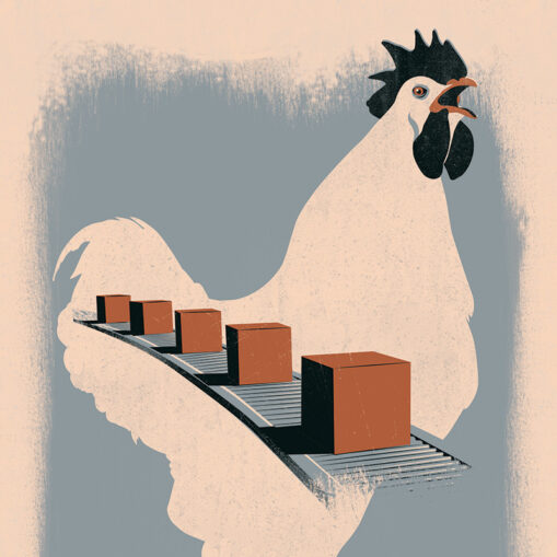 Guerre du Pain © chez gertrud