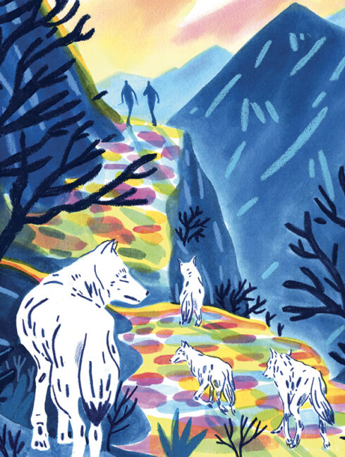 LOUPS ©Maguelone Du Fou